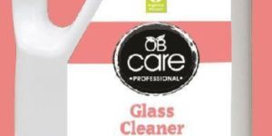 Natural Glass Cleaner