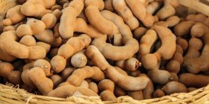 Tamarind Pods