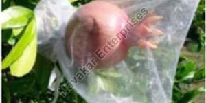 Pomegranate Fruit Cover