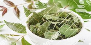 Dried Neem Leaves