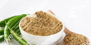 Dehydrated Green Chilli Powder