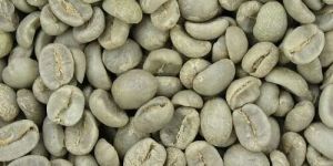 Raw Coffee Bean