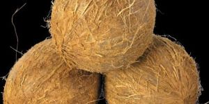 Coconut