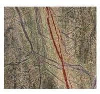 Rainforest Green Marble Slabs