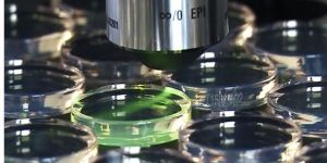 White Light Interferometer