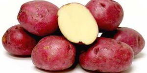Red Potatoes