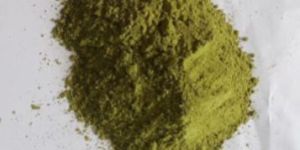 Moringa Leaves Powder