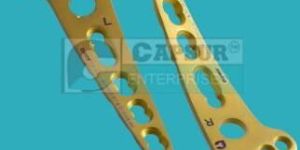 Volar Buttress Locking Plate