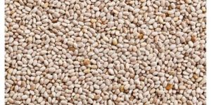 Organic Chia Seed