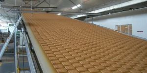 Biscuit Cooling Conveyor