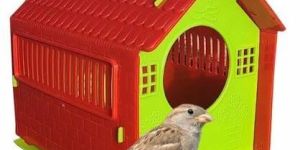 Decorative Bird House