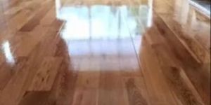 Synthetic Clear Varnish