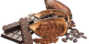 Cocoa Beans