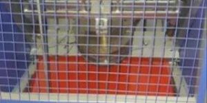 Paper Plate Dona Machine