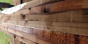 Western Red Cedar