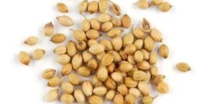Coriander Seeds