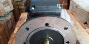 Silver Induction Motor