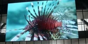 Techon P4 Indoor Display Board