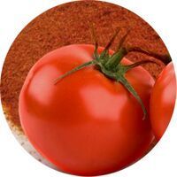 Tomato Powder