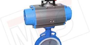 PTFE Seat Butterfly Valve