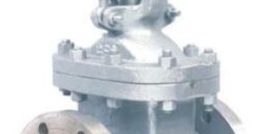 SS Gate Valve
