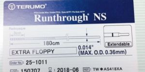 Runthrough NS Guide Wire