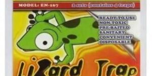 Lizard Glue Trap