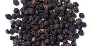 Black Pepper