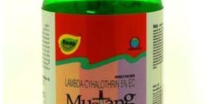 Domestic Insecticides