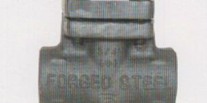 Forged Steel Check Valve