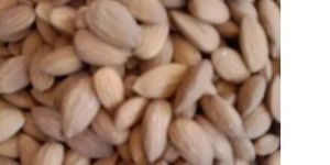 Almond Nut