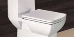 Selo Floor Mounted Water Closet