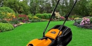 Electric Lawn Mower