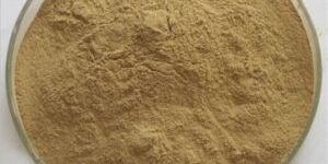 Vetiver Root Extract