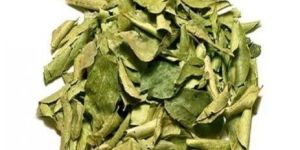 Dried Coriander Leaf