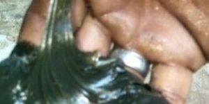 Fine Lube Chassis Grease