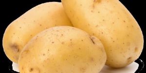 Fresh Potato