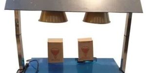 Food Lamp Warmer