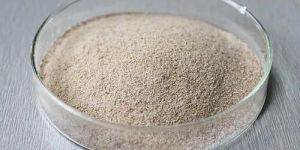 Bacillus Licheniformis