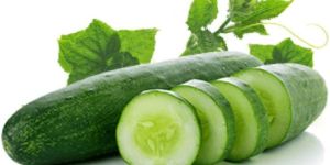 Cucumber