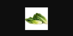 Roquette Lettuce