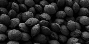 Charcoal Briquettes