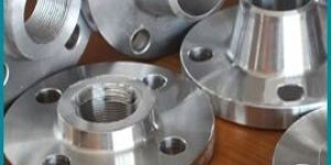 Titanium Flanges