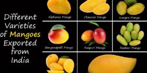 Mangos