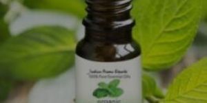 Wintergreen Oil