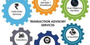 Merger Transaction Advisory Services