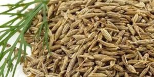 Cumin Seeds