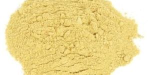 Saccharomyces Cerevisiae