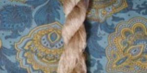 Muga Spun Silk Yarn