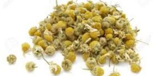 Dried Chamomile Flowers